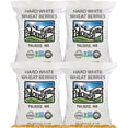 thumbnail image 1 of Hard White Wheat Wheat Berries | 100 LBS | Desiccant Free | Sproutable | Non-GMO Project Verified | Kosher, 1 of 8