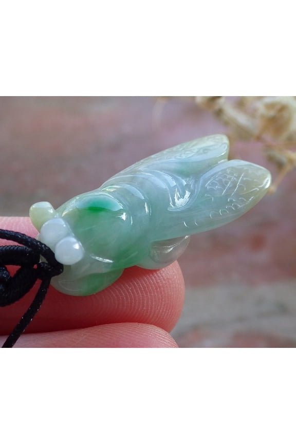 Certified Green Burma 100% Natural A Jade jadeite pendant Cicada Money Coin Necklace 590365 TN