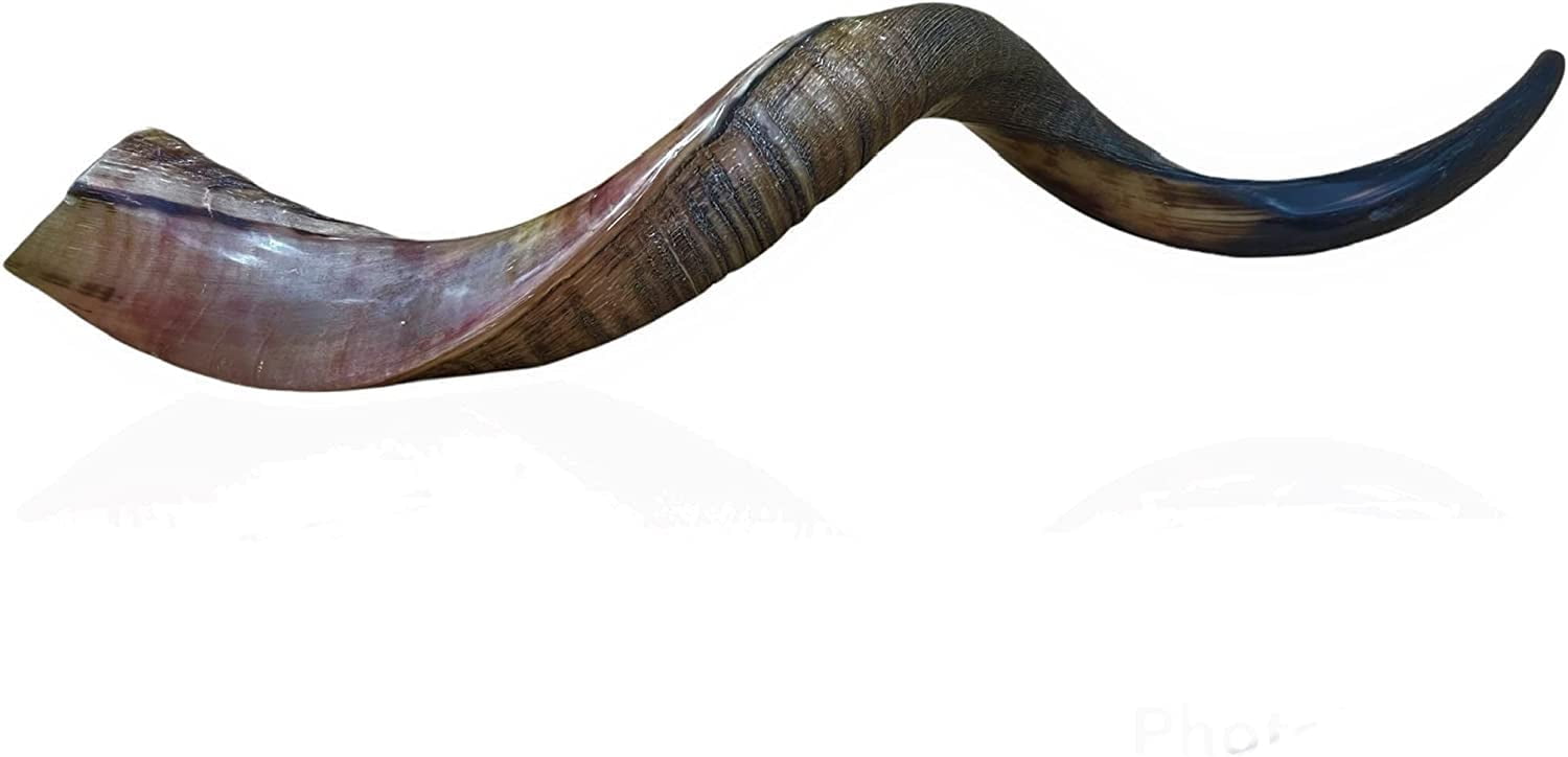 Certified Kosher Polished Kudu Horn Yemenite Shofar - Perfect for Rosh Hashanah and Jewish High Holidays - Handmade in Israel - Natural Colors - 20"-22"