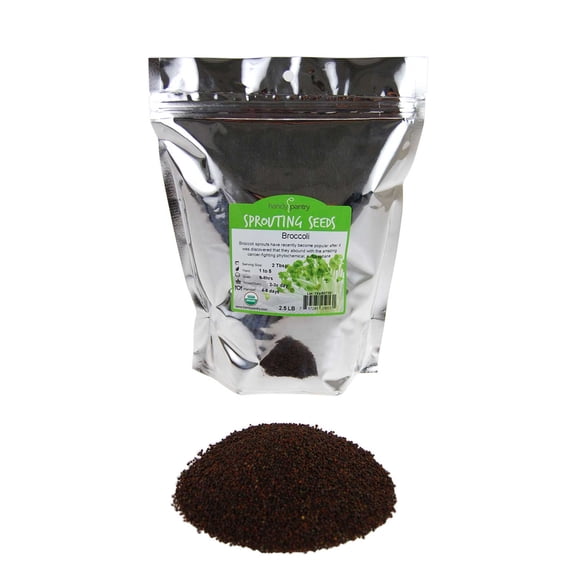 Certified Organic Broccoli Sprouting Seeds- Handy Pantry Brand - 2.5 Lbs - Gardening, Growing Salad Sprout & Food Storage- Brocolli Sprouts Contain Sulforaphane