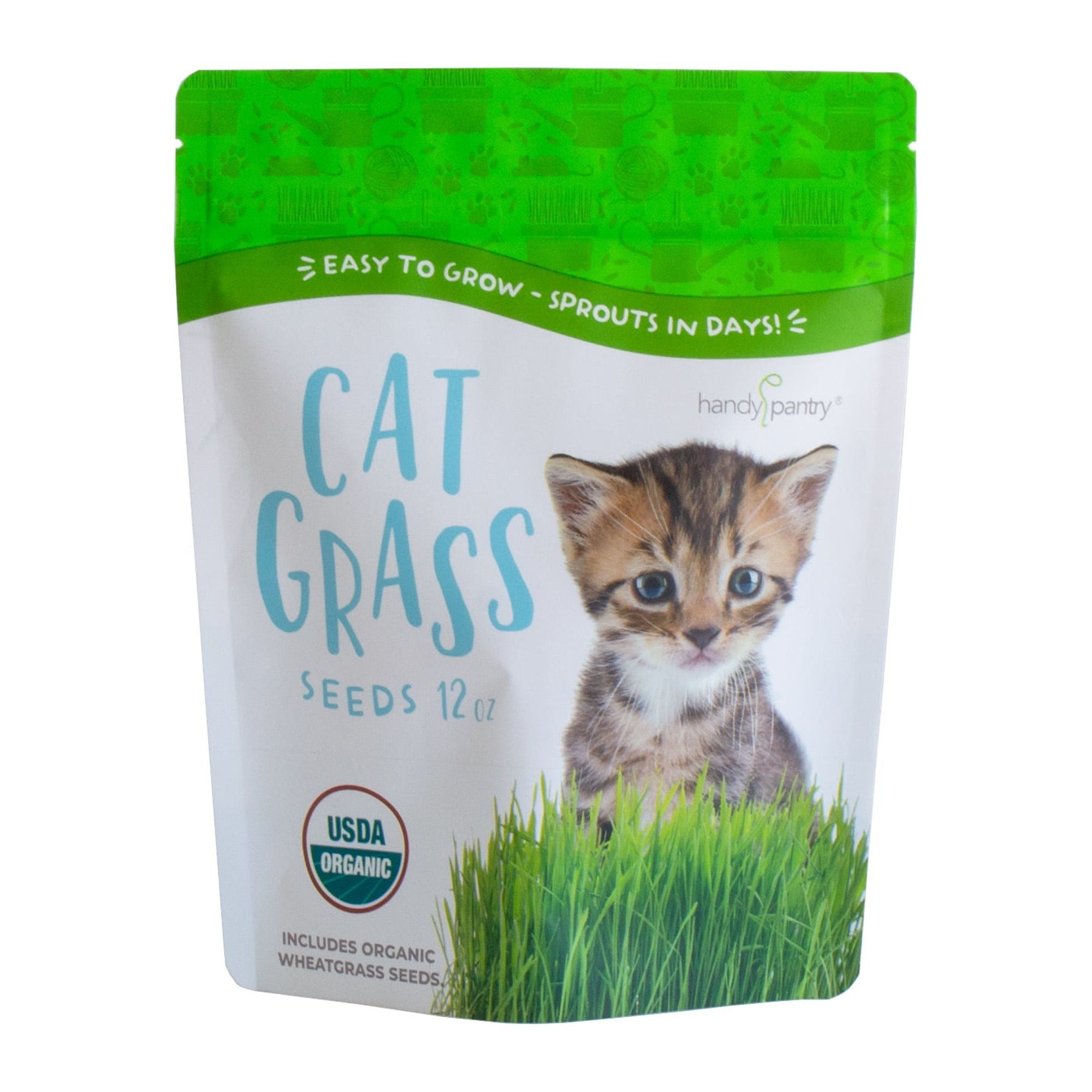 Wheatgrass for dogs sales
