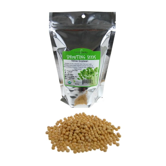 Certified Organic Dried Yellow Soybeans - 1 Lb - Use in a Soy Milk Making Machine to Make Soy Milk. Makes Tofu, Emergency Food Storage