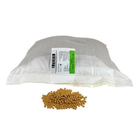 Certified Organic Dried Yellow Soybeans - 25 Lb - Use in a Soy Milk Making Machine to Make Soy Milk. Makes Tofu, Roasted Soy Beans, Emergency Food Storage, More