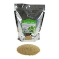thumbnail image 1 of Certified Organic Quinoa Grain Seeds -2.5 Lbs Grind for Quinoa Flour, Cereal, Emergency Food Storage More, 1 of 3