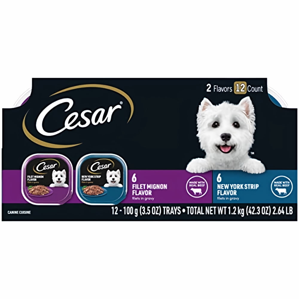 Cesar Filets in Gravy Adult Wet Dog Food Variety Pack, Filet Mignon and New York Strip Flavors, 3.5 oz. Easy Peel Trays, Variety Pack, 12 Count (Pack of 2)