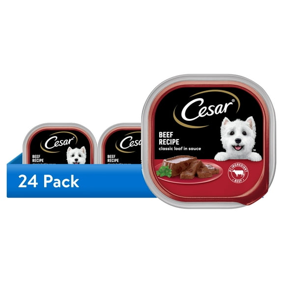(24 pack) Cesar Loaf in Sauce Beef Recipe Adult Wet Dog Food, 3.5 oz Easy Peel Trays
