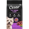 thumbnail image 1 of Cesar Filet Mignon Flavor with Vegetable Garnish Small Breed Dry Dog Food, 2.7 lb bag, 1 of 11