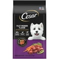 thumbnail image 1 of Cesar Filet Mignon and Spring Vegetables Dry Dog Food, 5 lb Bag, 1 of 11
