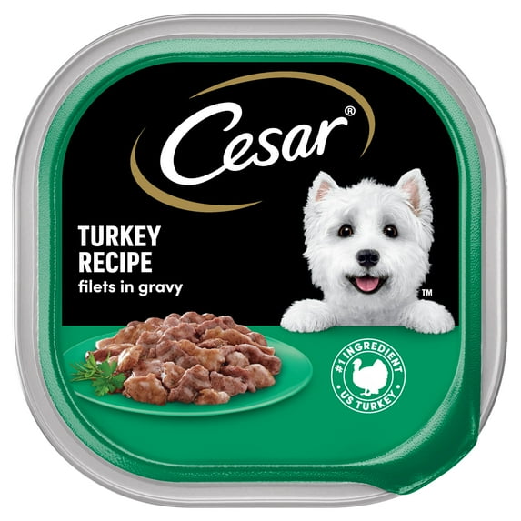 Cesar Filets in Gravy Turkey Recipe Flavor Adult Wet Dog Food, 3.5 oz Tray