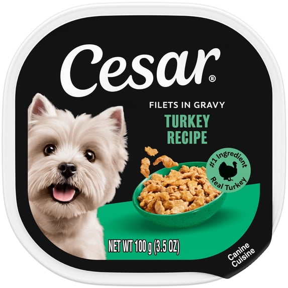 Cesar Filets in Gravy Wet Dog Food, Turkey Flavor, 3.5 oz. Trays, Pack of 24