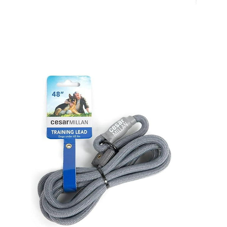 Cesar Millan Slip Lead Leash™ - 2-in-1 Slip Collar Dog Training Lead &  Collar | Heavy Duty Durable Weatherproof Rope Leash, No Pull Training |  Length