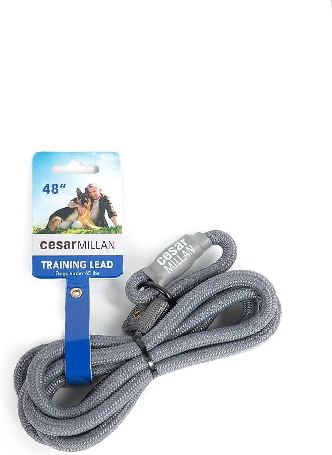 Cesar Millan Slip Lead Leash™ 2-in-1 Slip Collar Dog Training