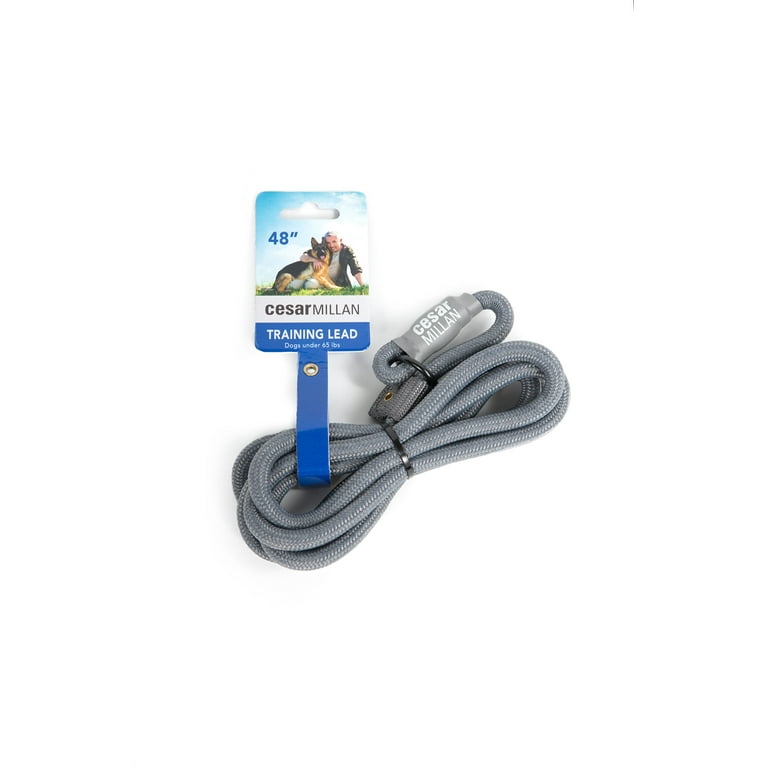 Cesar Millan Slip Lead Leash Slip Collar Training Lead Gives You Greater Control and The Ability to Make Quick and Gentle Corrections Grey