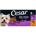 thumbnail image 1 of Cesar Filets in Gravy Beef and Chicken Flavors Wet Dog Food, 1.76 oz Mini-Pouches, 20 Ct, 1 of 10
