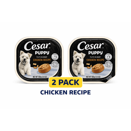Cesar Puppy Chicken Recipe Wet Dog Food, Filets in Gravy, Easy Peel Trays, 3.5 oz, 2 Pack