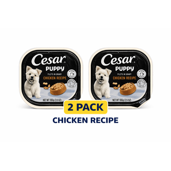 Cesar Puppy Chicken Recipe Wet Dog Food, Filets in Gravy, Easy Peel Trays, 3.5 oz, 2 Pack