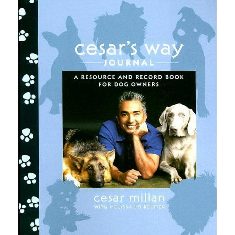 Is It Okay To Give A Dog As A Gift? - Cesar's Way
