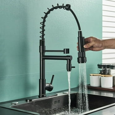 Cesinkin Brass Matte Black Kitchen Faucet