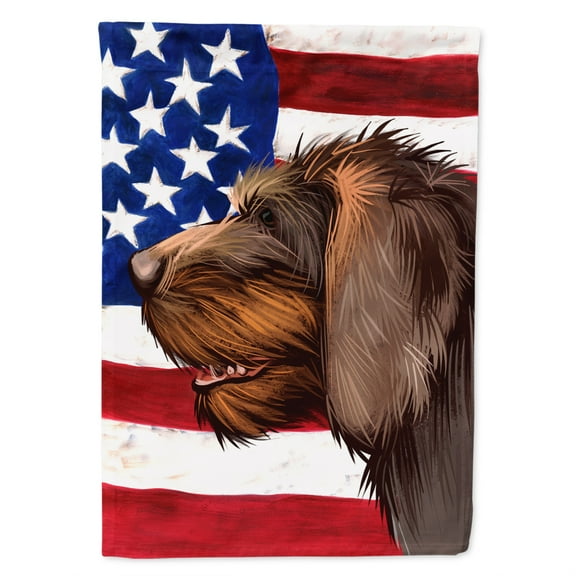 Carolines Treasures CK6484CHF Cesky Fousek Dog American Canvas House Size outdoor-flags, Multicolor