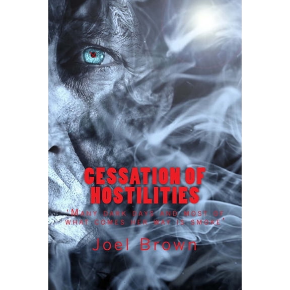 Cessation of Hostilities : Many dark days and most of what comes her way is smoke (Paperback)