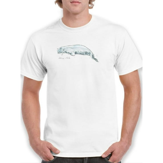Cetacea Beluga Whale. T-Shirt Men -June Erica Vess Designs, Male 4X-Large