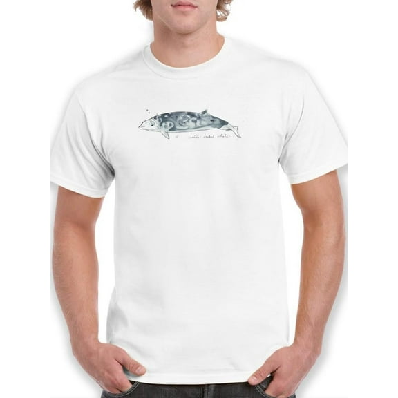 Cetacea Cuviers Beaked Whale. T-Shirt Men -June Erica Vess Designs, Male 4X-Large