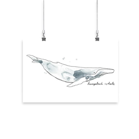 Cetacea Humpback Whale Poster - June Erica Vess Designs,
