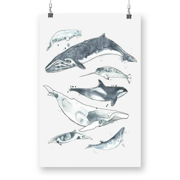 Cetacea. I Poster - June Erica Vess Designs,