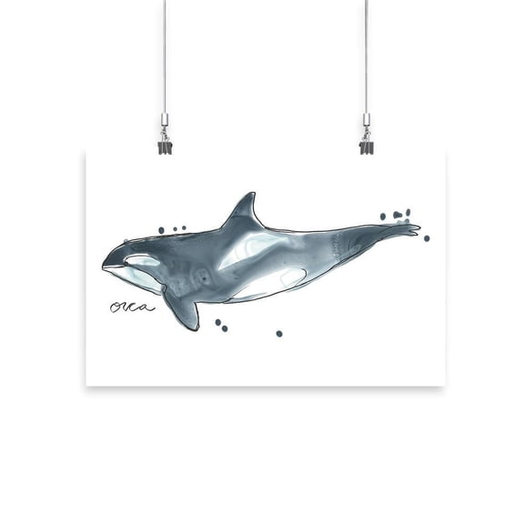 Cetacea Orca Whale. Poster - June Erica Vess Designs,