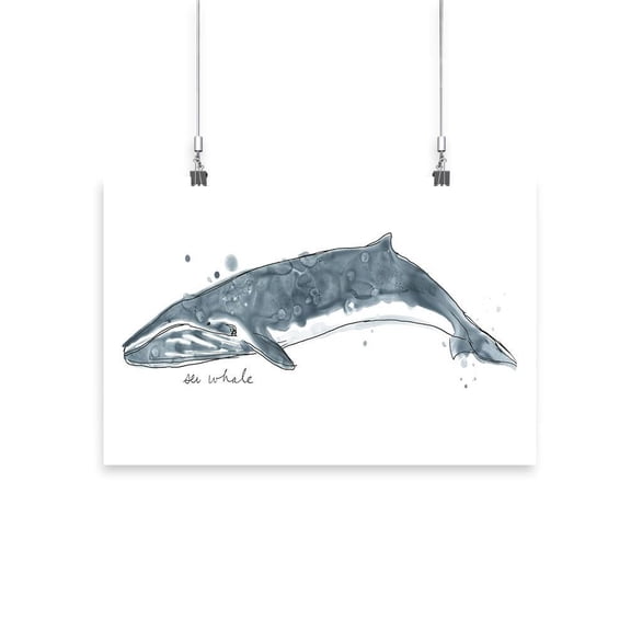 Cetacea Sei Whale. Poster - June Erica Vess Designs,