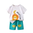 thumbnail image 1 of Cethrio Boys Cotton Outfit Sets, Fashion Summer Graphic Short Sleeve Kids' Clothing Sets Multicolor Size 9-12Months, 1 of 4