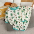 thumbnail image 1 of Cethrio Boys Girls Pajama Sets, 2 Piece Soft Cotton Summer Fall Sleepwear Green Size 12-18 Months, 1 of 3