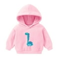 thumbnail image 1 of Cethrio Boys Girls Sweatshirts, Long Sleeve Casual Printed Tops with Hoodies Pink Size 4-5 T, 1 of 2