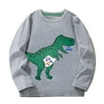 thumbnail image 1 of Cethrio Boys Long Sleeve Tops, Pullover Casual Cotton 2025 Boys' Graphic Tees Gray Size 7 T, 1 of 2