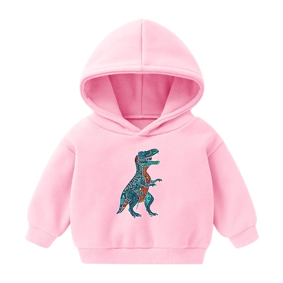 Cethrio Kids Boys Girls Hoodies, Printed Cotton Long Sleeve Pullover Sweatshirts Pink Size 3-4T