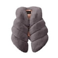 thumbnail image 1 of Cethrio Kids Girls Faux Fur Vests, Winter Thermal Fashion Sleeveless Outerwear Vest Gray Size 2-3 T, 1 of 3