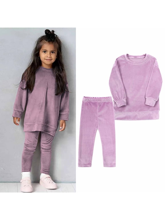 Kids Girls Outfit Sets, 2 Piece Casual Long Sleeve Sweatshirt and Sweatpants Set Purple Size 2-3 T