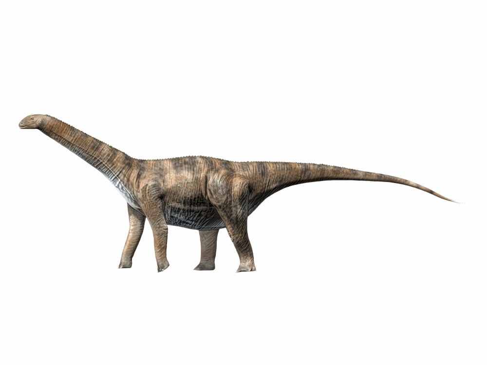 Cetiosaurus oxoniensis Middle Jurassic of England Canvas Art - Nobumichi TamuraStocktrek Images (17 x 13)