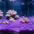 thumbnail image 1 of Cevemin Artificial Aquarium Grass Mat - Simulated Aquatic Plants Substrate Dense Green Turf for Fish Tank Decor, 23.62 x 15.75 Inch, Plastic, Tailorable, 1 of 6