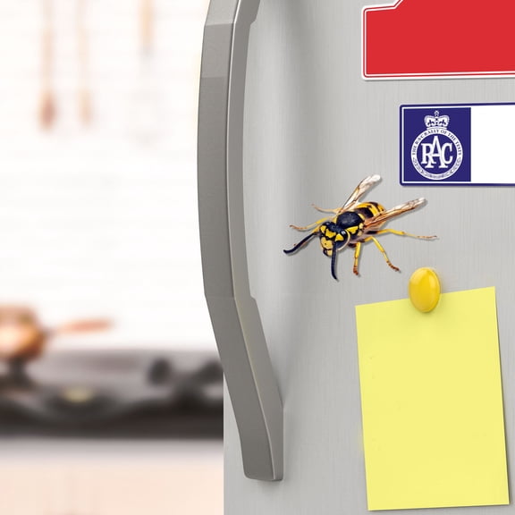 Cevemin Car Oil Cap Insect Sticker - Paper Decal with Multiple Colors for Car Decoration, Easy to Apply and Fade-Resistant