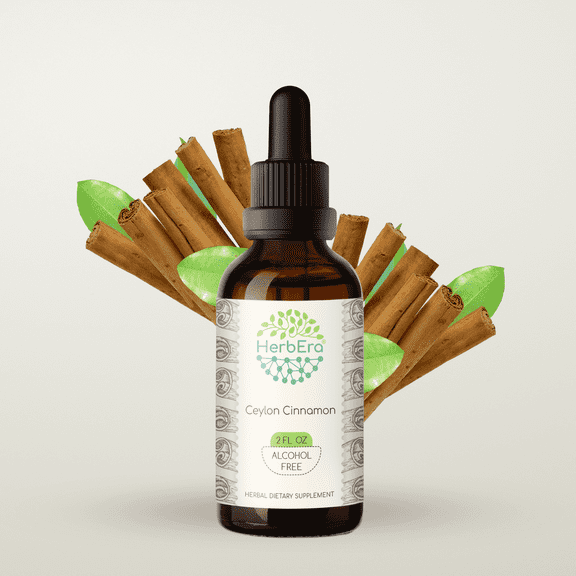 HerbEra Ceylon Cinnamon Tincture, Herbal Dietary Supplement for Blood Sugar Support, Ceylon Cinnamon (Cinnamomum verum) Dried Bark Extract, Natural, Alcohol-Free, Drops 2 oz