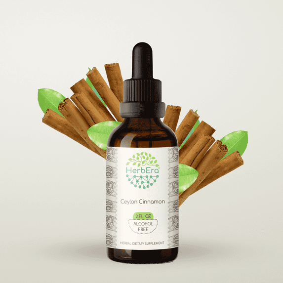 HerbEra Ceylon Cinnamon Tincture, Herbal Dietary Supplement for Blood Sugar Support, Ceylon Cinnamon (Cinnamomum verum) Dried Bark Extract, Natural, Alcohol-Free, Drops 2 oz
