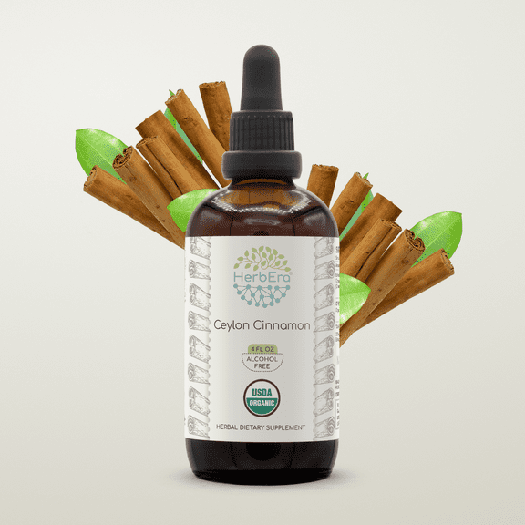 HerbEra Ceylon Cinnamon Tincture, Organic Herbal Dietary Supplement for Blood Sugar Support, Certified Organic Ceylon Cinnamon (Cinnamomum verum) Dried Bark Extract, Natural, Alcohol-Free, Drops 4 oz