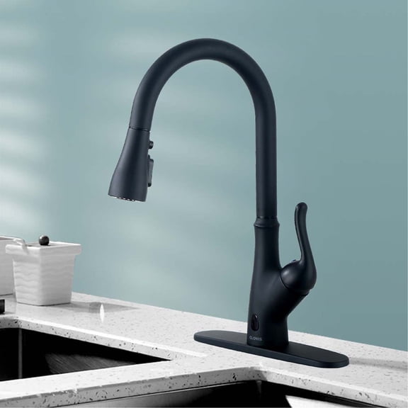 Cfowner Single Handle Kitchen Faucet with Sprayer, Pull Down Sprayer Spring Sink Faucet, Matte Black