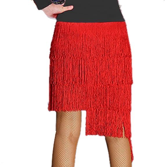 Cha-Cha Salsa Samba Tango Latin Tassel Dance Practice Competence Skirts Outfit Red