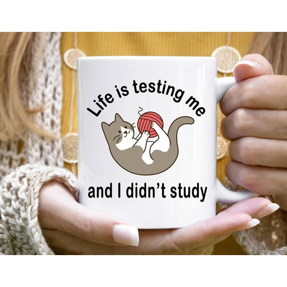 ChaChaCoo Funny Cat Meme Mug, Life Is Testing Me, Unique Gift for Best Friend, Self-Deprecating Ceramic Mug, Girlfriend, Boyfriend Her or Him, memes