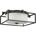 thumbnail image 1 of Chadwick Collection Two-Light Black 15-3/8" Flush Mount, 1 of 2