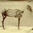 thumbnail image 1 of Chadwick Stokes - Horse Comanche - Vinyl, 1 of 1
