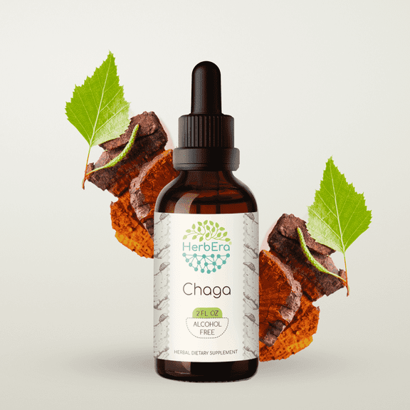 HerbEra Chaga Tincture, Herbal Dietary Supplement for Immune Support, Chaga (Inonotus obliquus) Dried Mushroom Extract, Natural, Alcohol-Free, Drops 2 oz
