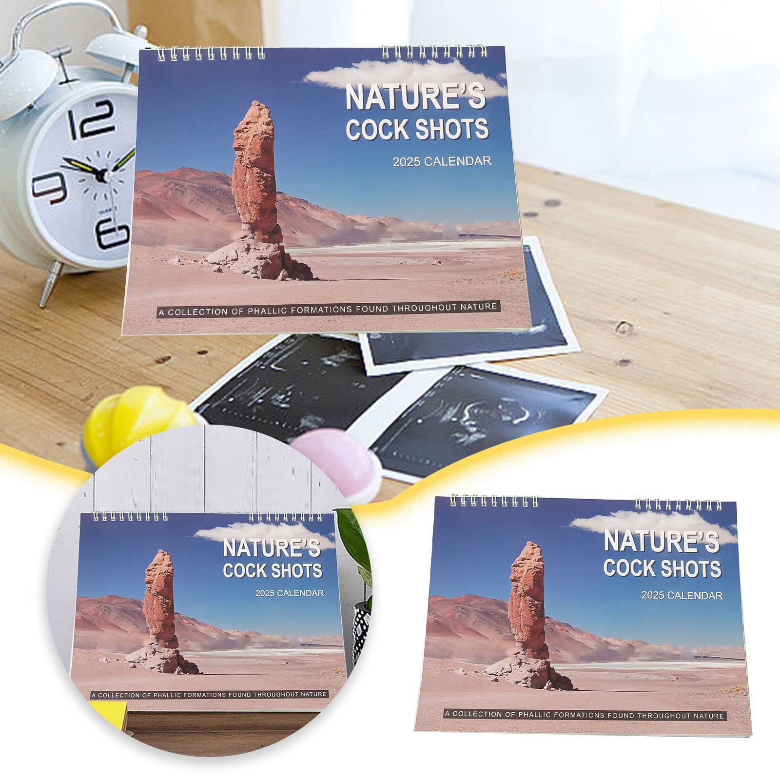 Chailin 2025 Funny Nature Calendar Wall Calendar 2025 Calendar Funny Calendar Decorative